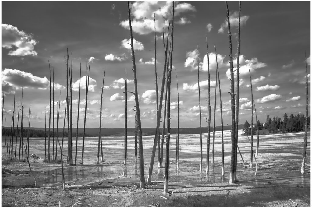 Open-Advanced_Other-Worldly_Peter-Wentworth_Equal-Merit