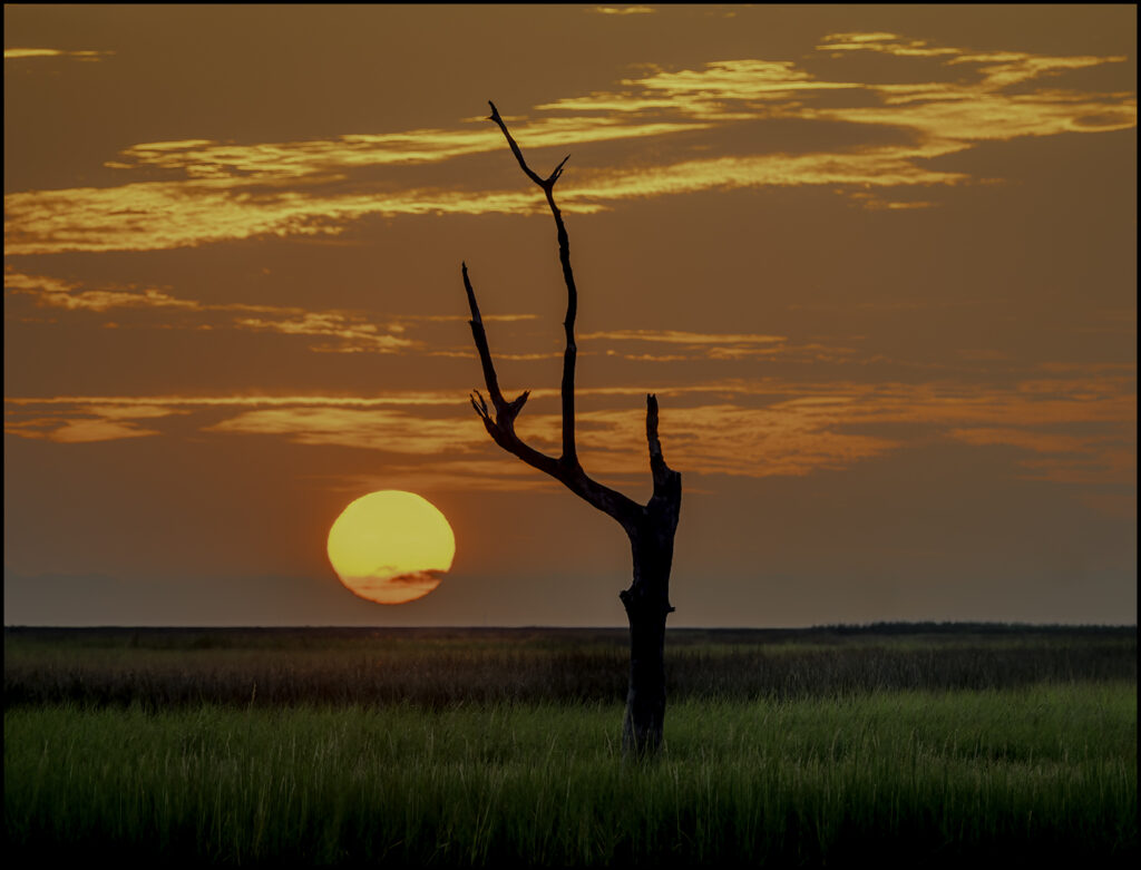 Open-Entry_Eternal-Embrace-of-Light-and-Shadow_Linda-Medine_Equal-Merit