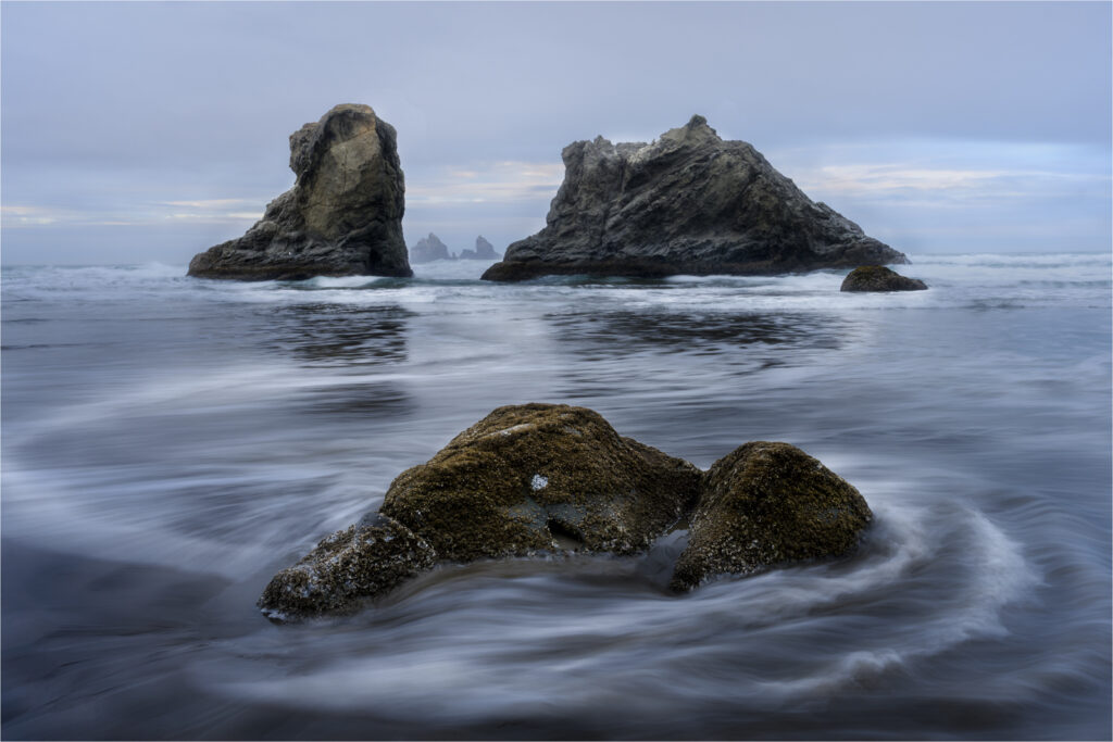 Open-Salon_Equal-Merit_Morning-Calm_Pratibha-Reddy_017