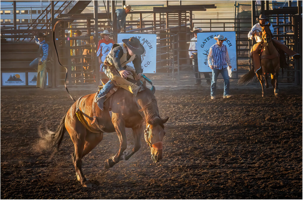 Photojournalism-Salon_Bucking-Bronco_Wendy-Milligan_Equal-Merit